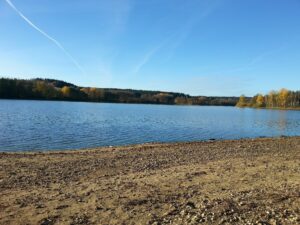 Fish Species Lake in Bohemia